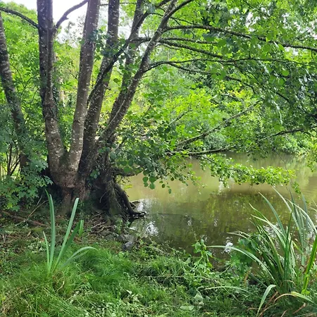Gasthof Chateau De La Rucquetiere Le Lorey