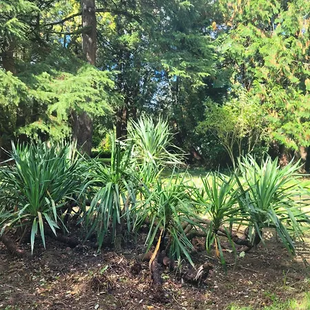 Gasthof Chateau De La Rucquetiere 3*