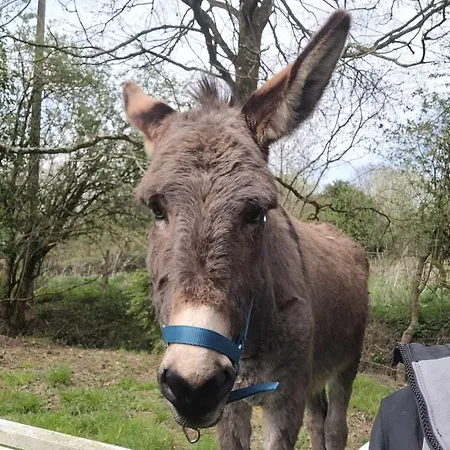 Chateau De La Rucquetiere 3* Le Lorey