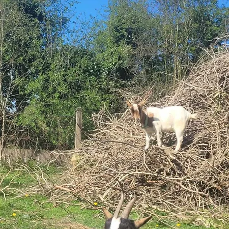 Chateau De La Rucquetiere