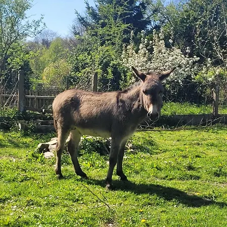 Chateau De La Rucquetiere Le Lorey