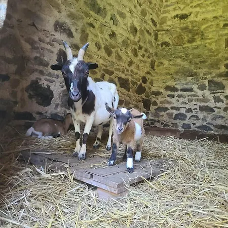 Chateau De La Rucquetiere