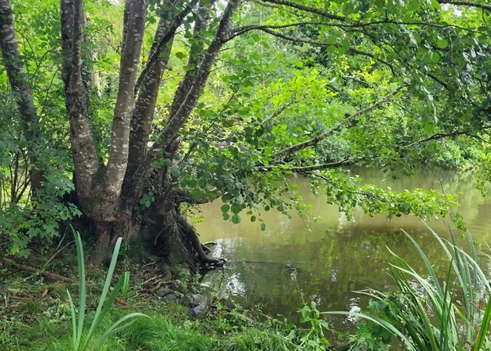 Guest house Chateau De La Rucquetiere Le Lorey