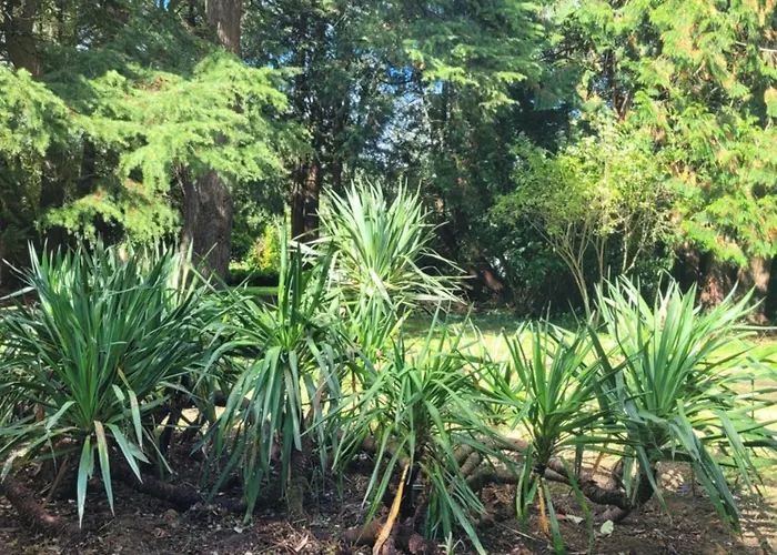 Guest house Chateau De La Rucquetiere 3*