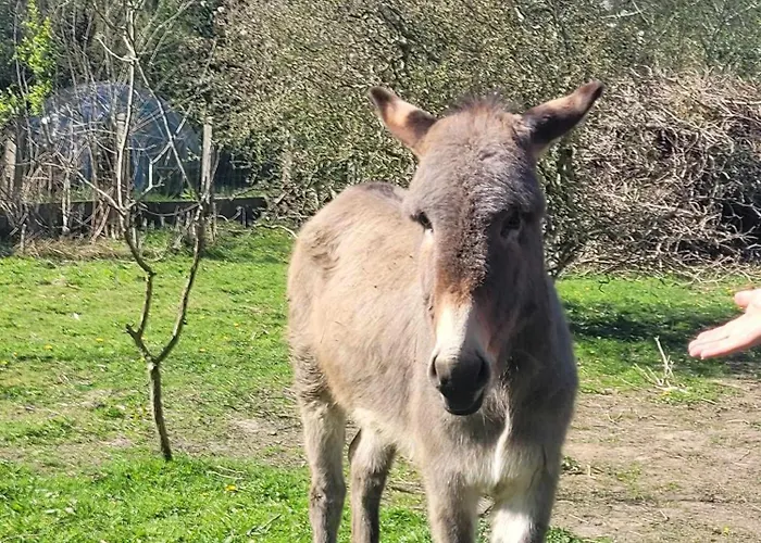 Chateau De La Rucquetiere 3* Le Lorey