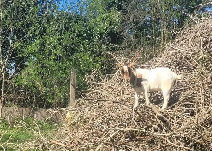 Chateau De La Rucquetiere