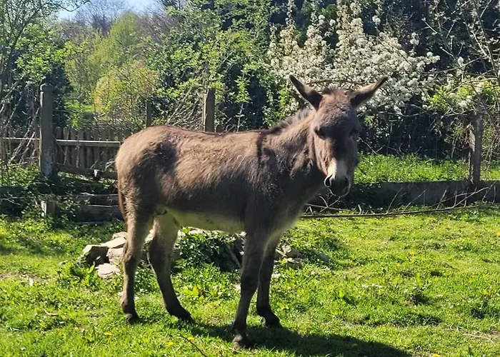 Chateau De La Rucquetiere Le Lorey